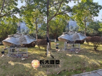 那就欣賞我們剛制作完成好的學校雕塑成品圖片吧~